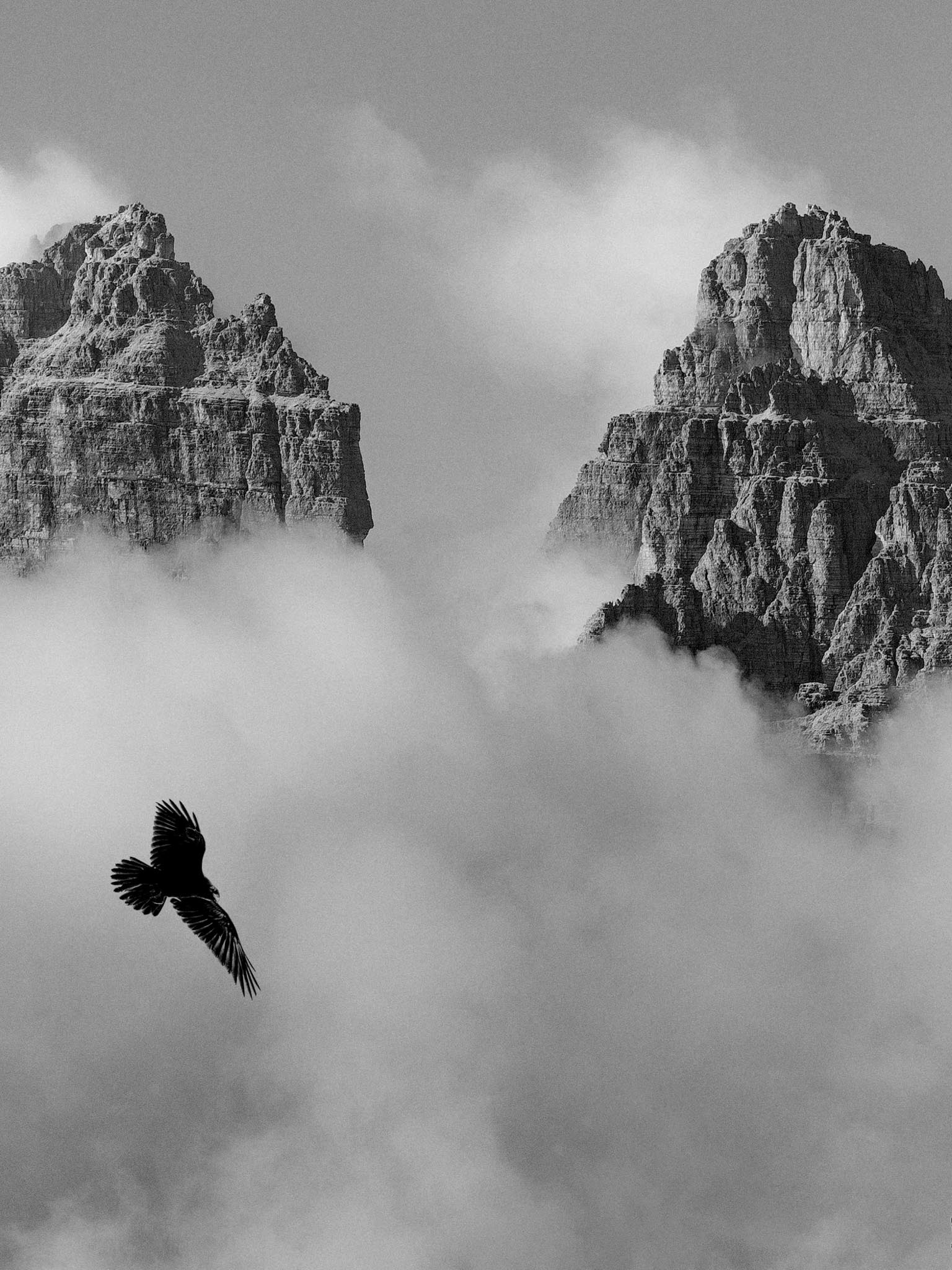 Schwarzweißaufnahme von Dolomitenfelsen im Nebel mit fliegendem Vogel